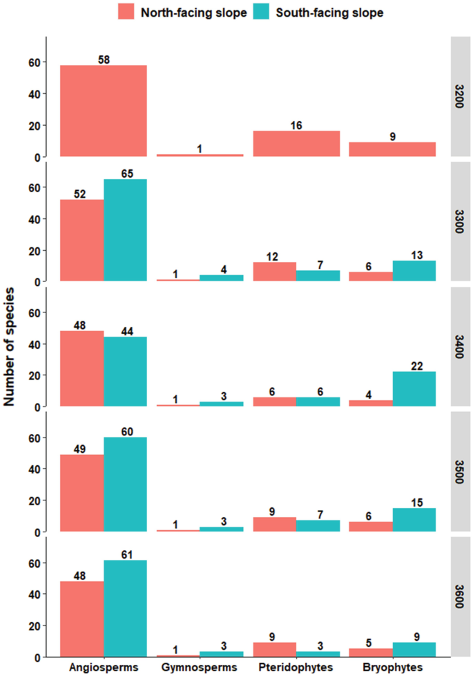 A bar graph illustrates the number of species and elevation over the angiosperms, gymnosperms, pteridophytes, and bryophytes for north and south-facing slopes.