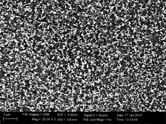 A monochromatic photograph depicts S E M image of C N T synthesized for deposition of D L C films. They are clustered together. It exhibits F I M imaging equals S E M, E H T equals 3, signal A, data 17 January 2019, mag equals 25, and W D.