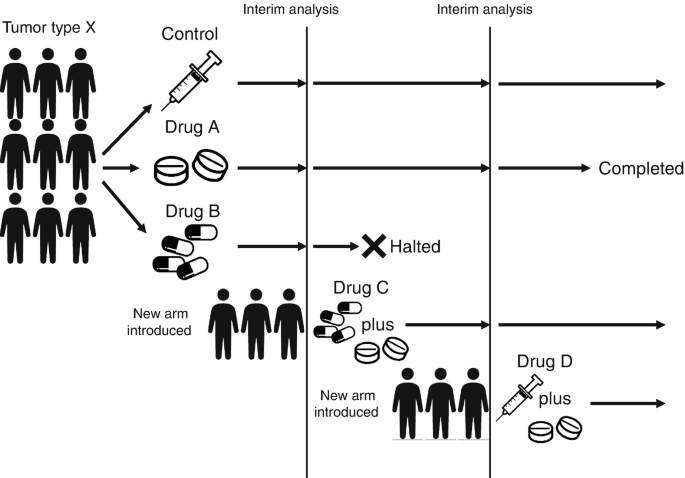 A labeled diagram demonstrates the platform trial scheme. These trials have a common control group and a number of different target groups, and they allow you to include or exclude new treatments or patients during the process.