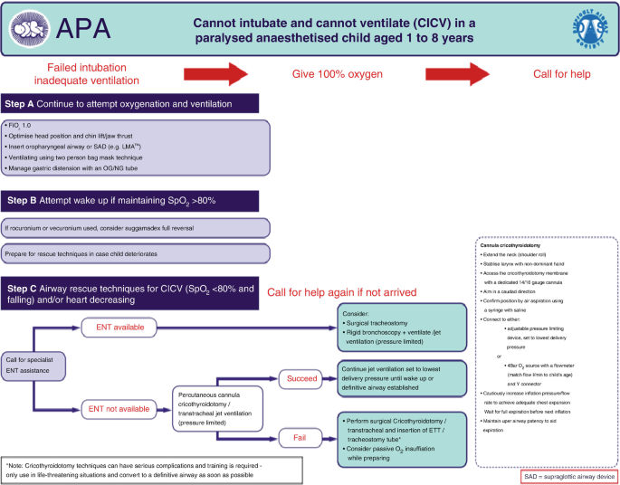 A flow chart depicts the steps in a paralyzed anesthetized aged 1 to 8 years when a pediatrician cannot intubate and cannot ventilate. There are three steps: A, B, and C.