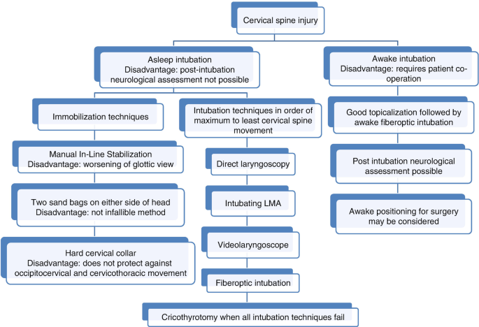 The chart illustrates different intubation strategies applied in patients suffering from C S I. Techniques used for both asleep and awake intubation are given.