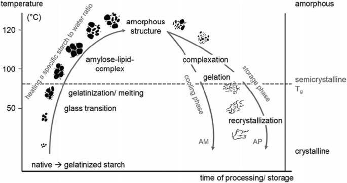 Induction of Maize Starch Gelatinization and Dissolution at Low Temperature  by the Hydrotrope Sodium Salicylate