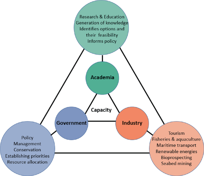 Developing Capacity for Ocean Science and Technology SpringerLink