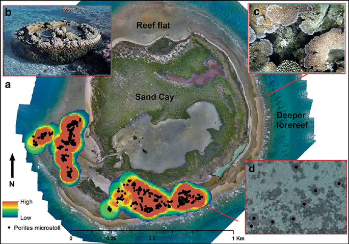 The mapping depicts a composite image of Australia's great barrier reef at Nymph Island.