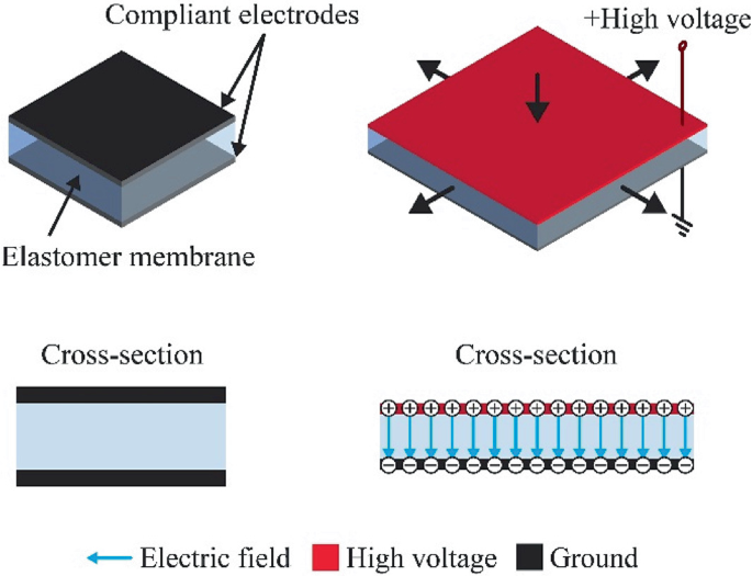 Images of D E A. The image on the left consists of elastomer membrane placed between the compliant electrodes. The image below it depicts the cross-sectional view. The image on the right consists of compliant electrodes with high voltage. The image below it depicts a cross-sectional view, in which electric field is illustrated.