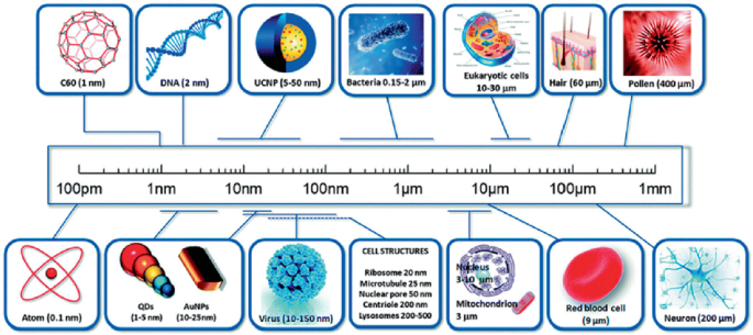 A number of nanomaterials on a scale from 100 picometer to 1 millimeter. The listed materials are D N A, atom, virus, red blood cells, and more.