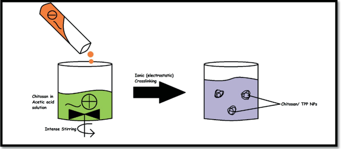 A diagram illustrates how the addition of acid to chitosan in acetic acid solution with intense stirring causes ionic cross-linking and thus the formation of chitosan nanoparticles.