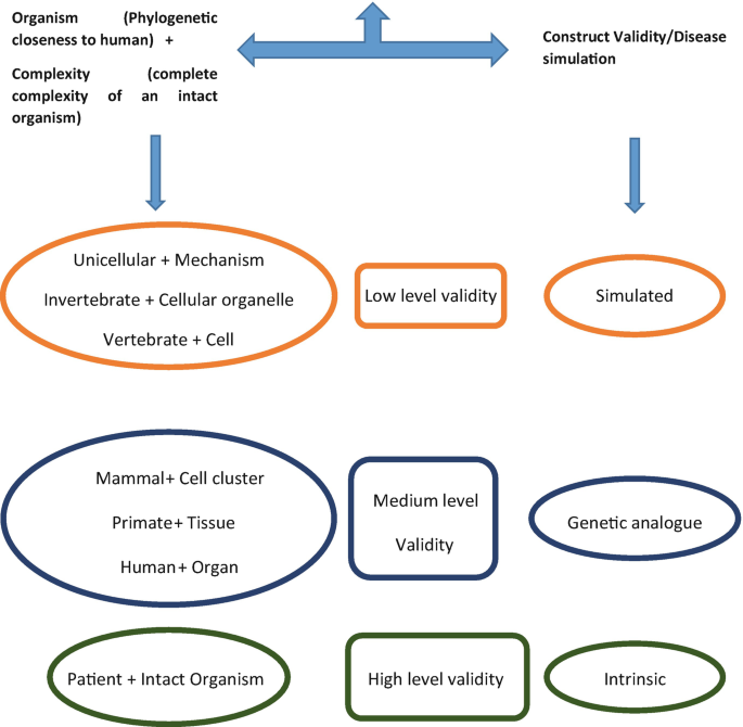 A diagram depicts the organism with complexity and constructs validity and a disease simulation for low, medium, and high-level validity.