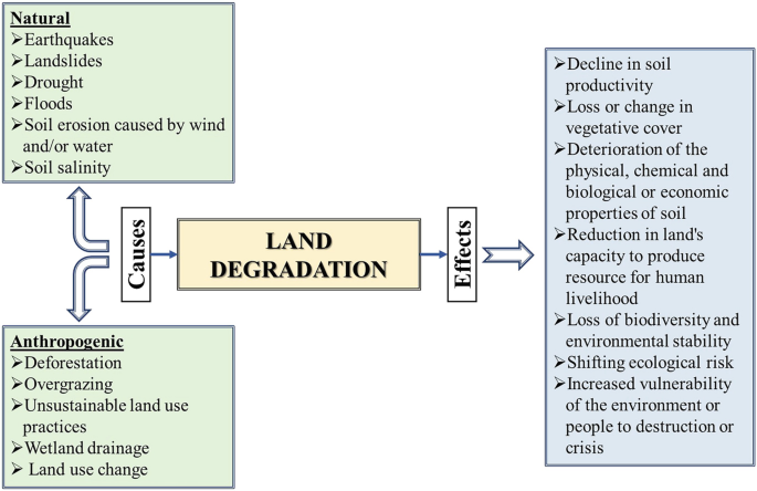 A block diagram depicts the causes and effects of land degradation. The causes are classified into natural and anthropogenic.