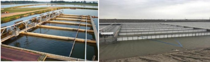 Two images represent the in-pond raceway systems. the left image is IPRS for freshwater channel catfish in Alabama, USA, and the right image is IPRS for seawater puffer fish in Hebei, China.