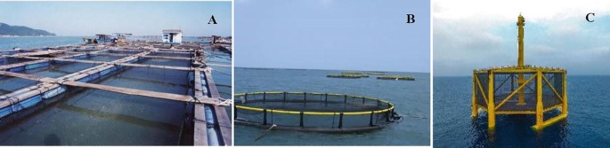 Cage Farming of Fish in Open Waters