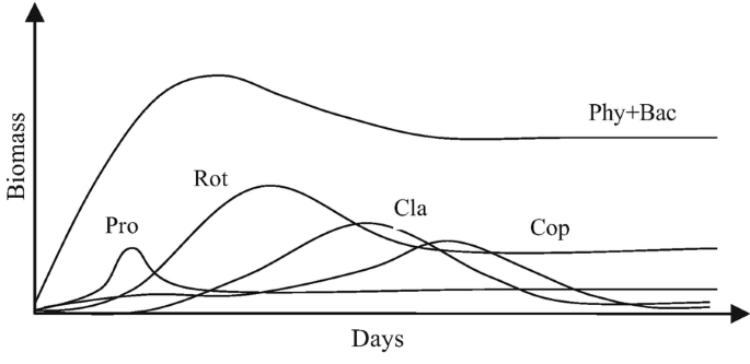 Aquaculture Ecosystem