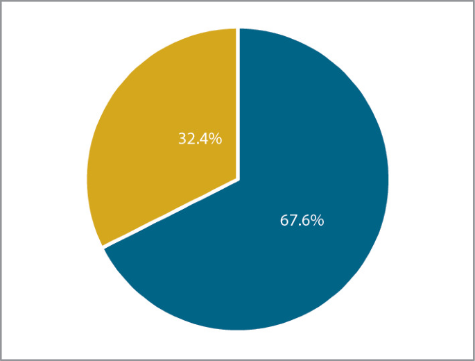 A pie chart has two parts, with values in percentage. The first part is 32.4 percent. The second part is 67.6 percent.