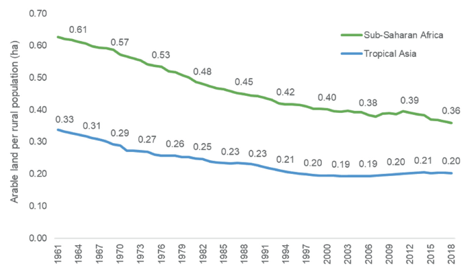 A line graph depicts the slightly decreasing curves for Arable land per rural population in Sub-Saharan Africa and Tropical Asia from 1961 to 2018. The curves start at 0.61 and 0.33 in 1961.