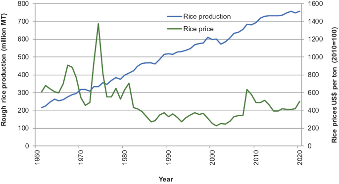 A line graph depicts world rice production and rice prices from 1960 to 2020. A line of rice population increases from (1960, 210) to (2020, 750) in million metric tons. A line of rice price in U S dollars depicts a fluctuating trend, with the highest price at (1975, 690).