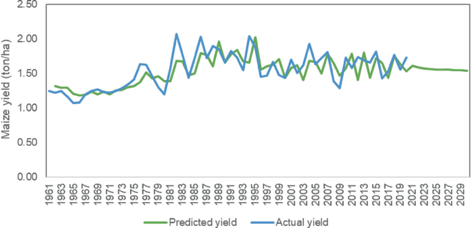 A graph depicts the actual and predicted values of maize yield in tonnes per hectare against the years from 1961 to 2021 in Kenya. The lines fluctuate from 1975 to 2021.