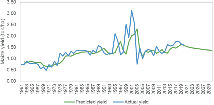 A graph depicts the actual and predicted values of maize yield in tonnes per hectare against the years from 1961 to 2029 in Tanzania. The predicted yield peaks at 2.25 in 2003, and the actual yield peaks at 3.25 in 2001. All data are approximated