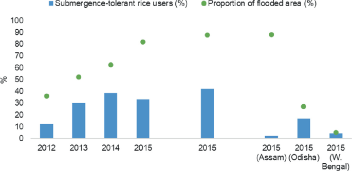 A graph depicted submergence-tolerant rice users and the proportion of flooded areas. The highest percentage was in 2015.