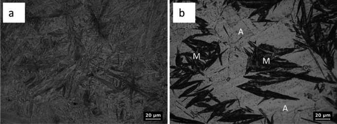 A pair of greyscale images of C 23 and C 55 heated at 1150 degrees Celsius. The images are observed with spikes and readings of 20 micrometers.