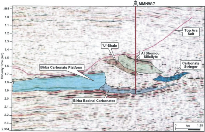 An illustration of the seismic section indicates the distribution of the carbonate, shale, and Athel silicilyte reservoirs.