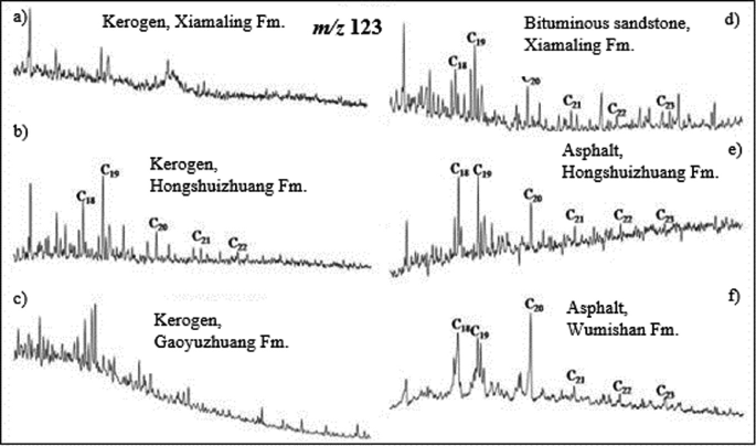 Six chromatographs of rock samples from various formations. The samples include kerogen, bituminous sandstone, and asphalt.