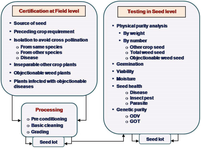 The flow diagram of seed certification and quality testing. The steps involved in the process are as follows. Certification at the field level, processing, seed lot, leads to testing in the seed level, and seed lot.