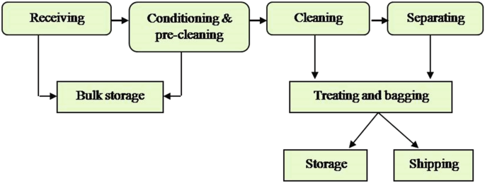 A flow diagram of seed quality upgradation. It has eight steps. The flow begins with receiving, conditioning and pre-cleaning and ends with storage and shipping.