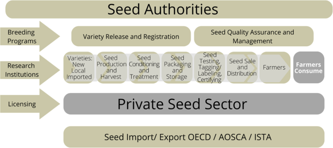 An infographic image represents the broad outline of the activities essential in the seed quality assurance system. It includes breeding programs, research institutions, and licensing.