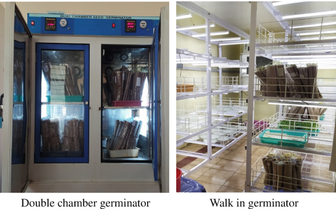 Two photographs. The left represents the double chamber germinator and the right represents the walk-in germinator with many compartments.