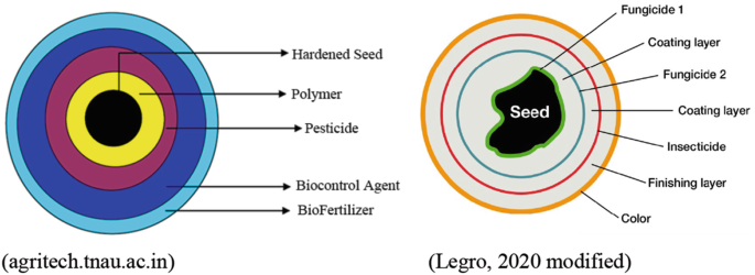 An illustration explains two designer seed technologies. Agri Tech dot T N A U dot A C dot in is made of hardened seed, polymer, pesticide, biocontrol agent, and biofertilizer. Legro, 2020, modified is made of seed with two coating and two fungicide layers, insecticide, finishing layer, and color.