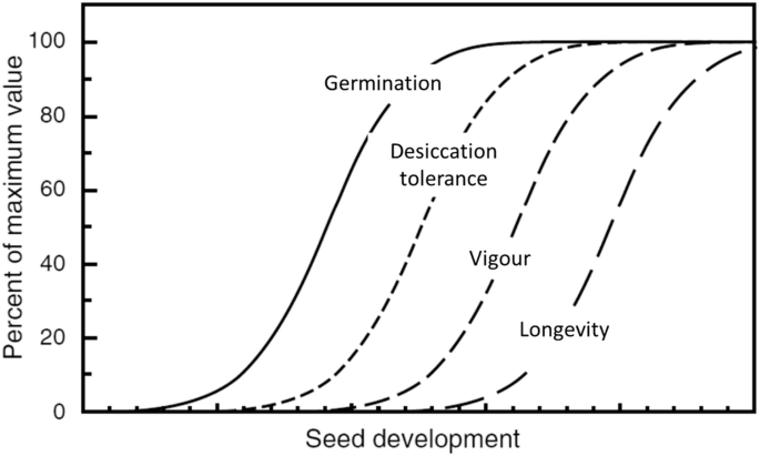 A line graph plots the percent of maximum value versus seed development. The four lines represent Germination, Desiccation tolerance, Vigour, and Longevity.