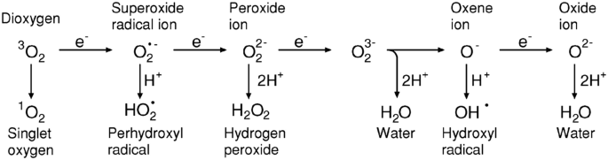 A chemical equation involves the following. 1. Dioxygen, Singlet oxygen. 2. Superoxide radical ion, Per hydroxyl radical. 3. Peroxide ion, Hydrogen peroxide. 4. Water. 5. Oxene ion, Hydroxyl radical. 6. Oxide ion, Water.