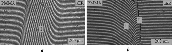 Two interferograms of interdiffusion zones at 453 Kelvin of the P M M A an E R system alpha equal to 0.1 and b) 0.2.