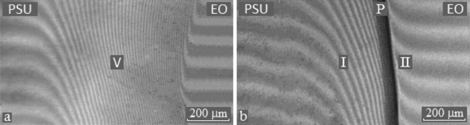 Two interferograms of interdiffusion zones of a) E D 20 P S U and b) E 44 P S U systems at 220 °C. The Interferogram of the E 44 P S U system is divided into two parts.