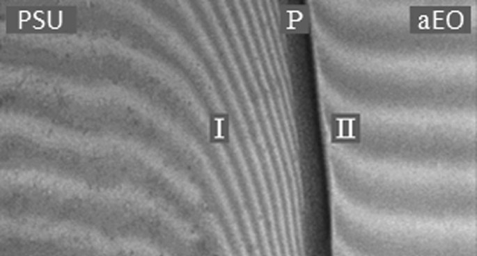 Interferogram of the interdiffusion zones of the system a E O slash P E G. It is divided into two regions.