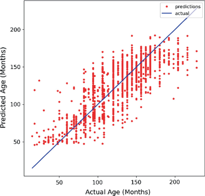 A scatter graph of predicted age versus actual age with M S E as loss function. It displays the uniform growth of predicted age with actual age by a straight line. It depicts an increasing trend.