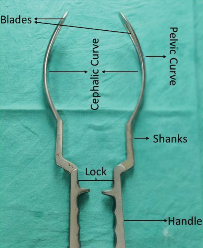 Obstetrics Forceps Delivery | SpringerLink
