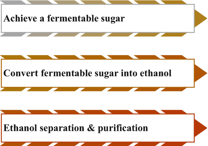 An illustration depicts the steps involved in ethanol production from biomass as follows. Achieve fermentable sugar, convert fermentable sugar into ethanol, and lastly ethanol separation and purification.