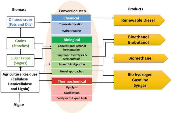 Differentiating Liquid and Gel Bioethanol Fuels: Choosing the