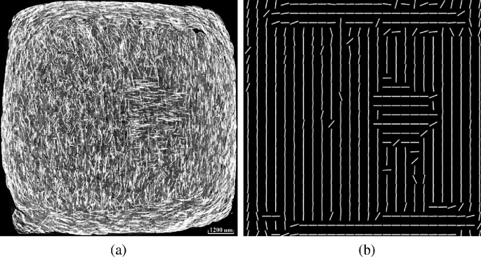 A set of two images with microscopic views. It depicts a square shape with various meshed fibers with white color and a toolpath grid pattern with a black background.