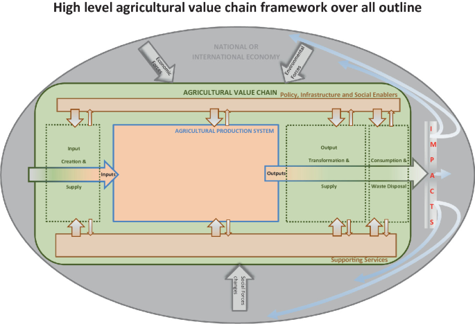 An illustrated model of the agricultural chain. It has inputs with input creation and supply, agricultural production system, and outputs with output transformation and supply, consumption, and waste disposal. This impact the national or international economy.