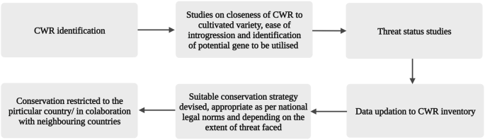 A flow chart of an appropriate and effective strategy begins with C W R identification, moves to studies on the closeness of C W R, threat status studies, data updation, suitable conservation strategy, and ends with conservation restricted to the particular country.