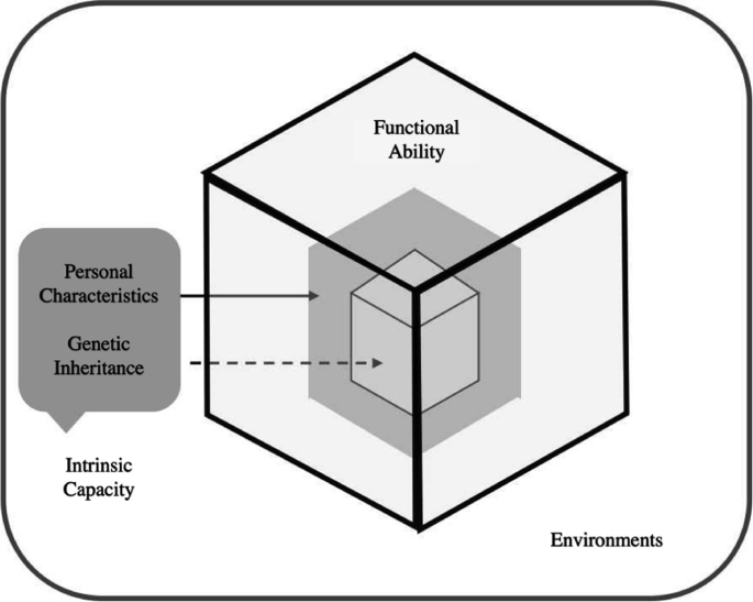 A diagram of the sugar cube aging model. The inner cube labeled personal characteristics, genetic inheritance, and intrinsic capacity. The outer cube represents functional ability and environments.