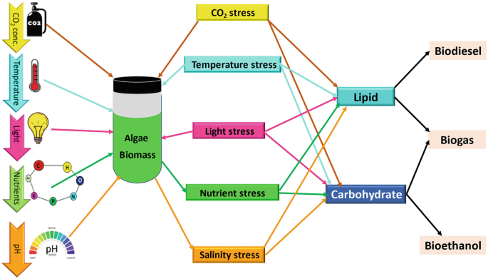 An illustration of factors that affect microalgae culture is as follows. C O 2 stress, through salinity stress with other sub-categories.