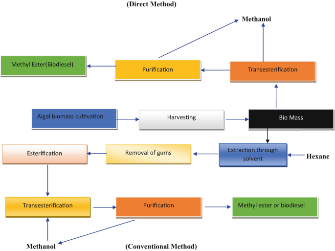 The flowchart represents the production of biodiesel through biomass. The process is done by two methods conventional method and the direct method.