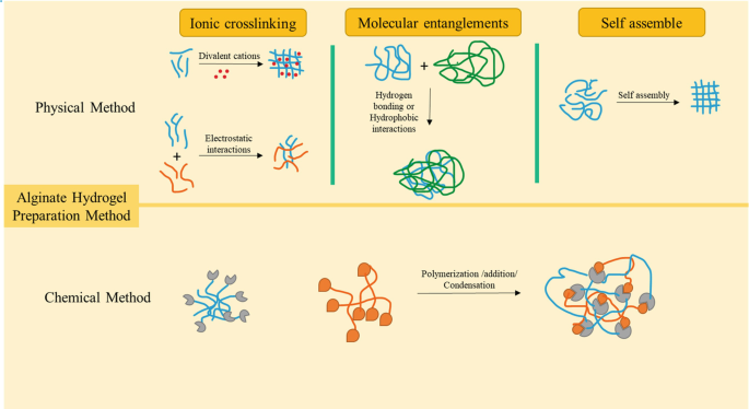 Alginate-based hydrogels as drug delivery vehicles in cancer treatment and  their applications in wound dressing and 3D bioprinting, Journal of  Biological Engineering