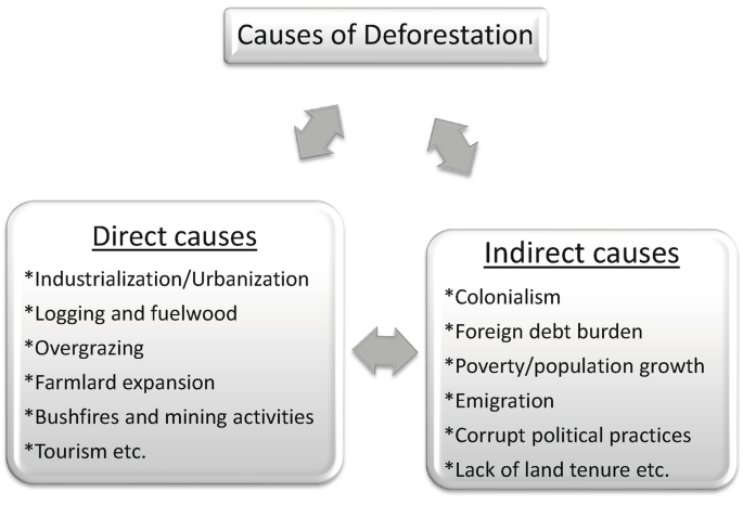 A flow diagram of the causes of deforestation. Direct causes include industrialization, logging and fuelwood, overgrazing, farmland expansion, bushfires, mining activities, and tourism. Indirect causes include colonialism, foreign debt burden, poverty, emigration, corrupt political practices, and lack of land tenure.