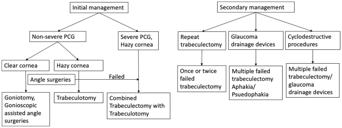 A chart explains the initial and secondary management of P C G. Initial management bifurcates into non-severe and severe P C G while secondary trifurcates into repeat trabeculectomy, glaucoma drainage devices, and cyclodestructive procedures. These sections are further divided and elaborated.