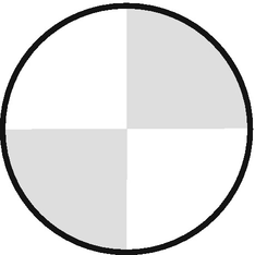 A circle divided into 4 equal parts with two dark and two light shades.