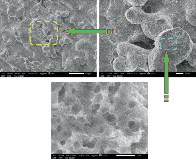 A set of three S E M micrographic scans. The bottom scan features a cluster of round and irregularly shaped masses. The top right scan features larger chunks of irregularly-shaped masses. The left scan features similar clusters with masses broken into smaller parts.